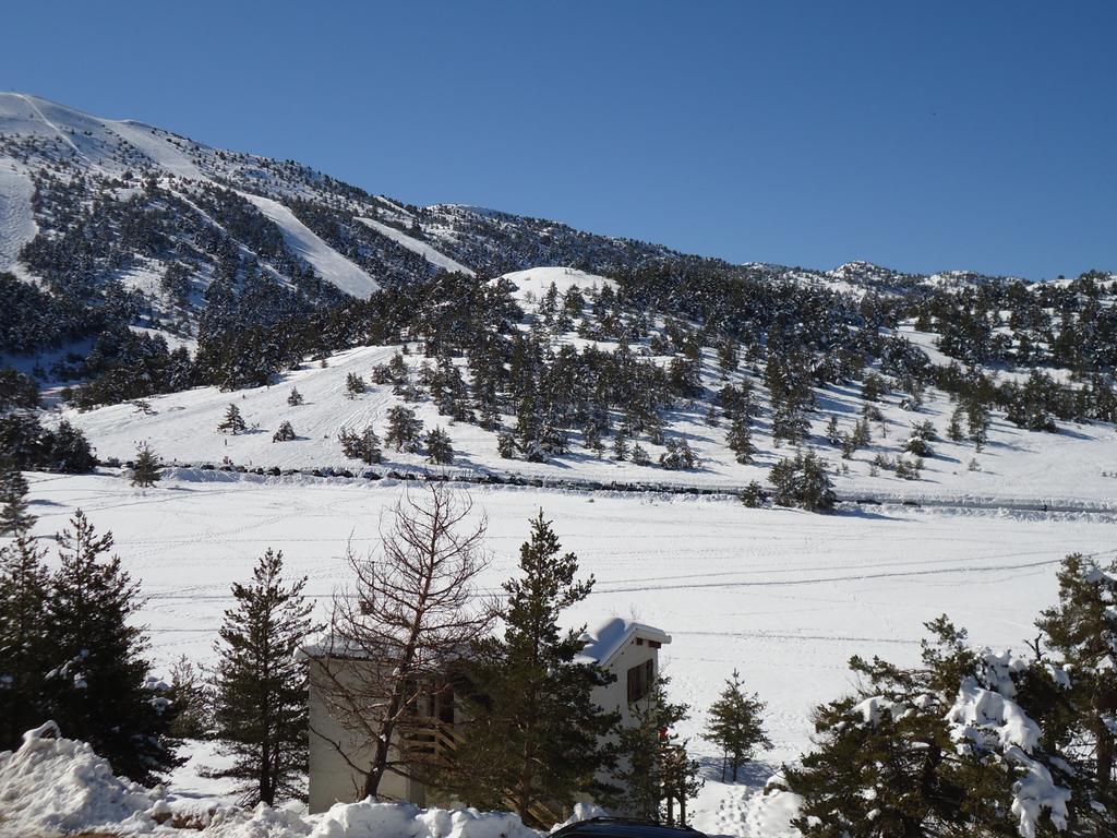 Apartment Face Aux Pistes Gréolières-les-Neiges Rum bild