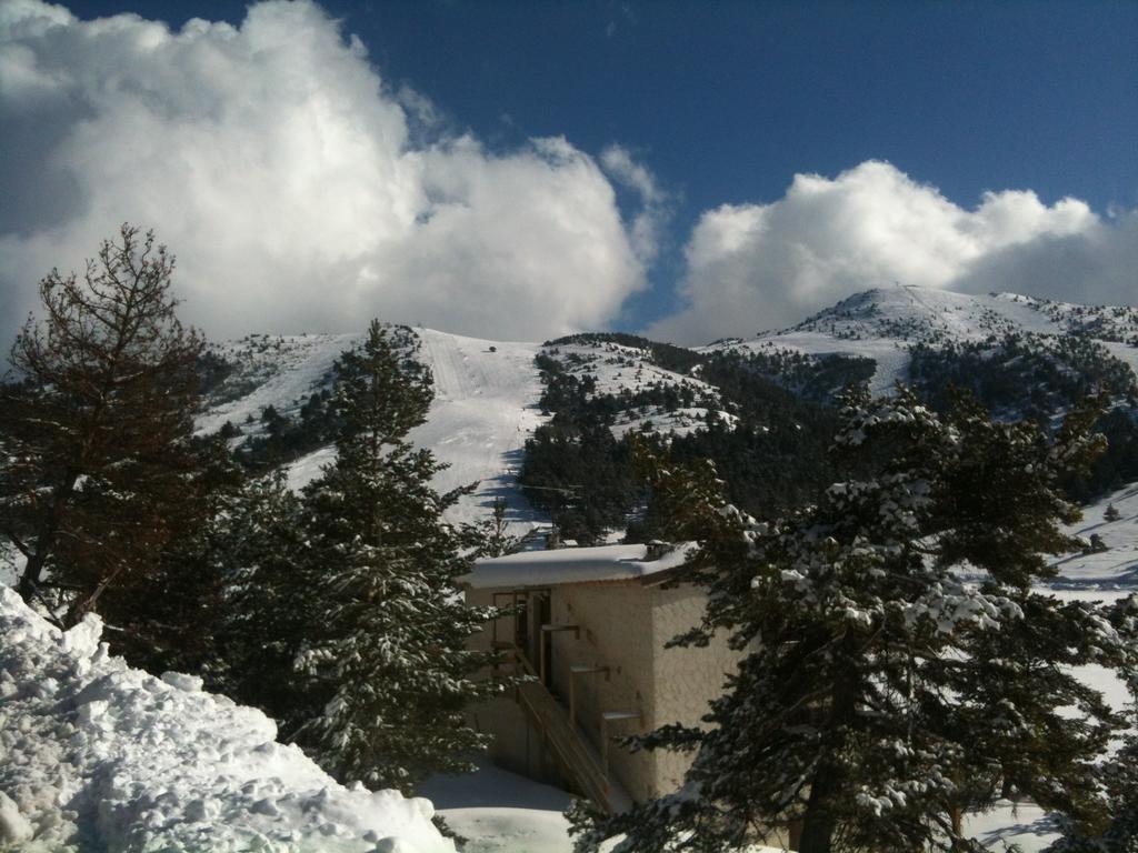 Apartment Face Aux Pistes Gréolières-les-Neiges Exteriör bild