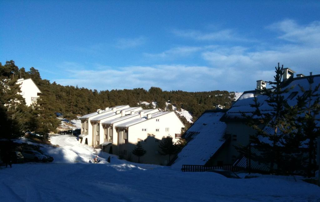 Apartment Face Aux Pistes Gréolières-les-Neiges Exteriör bild