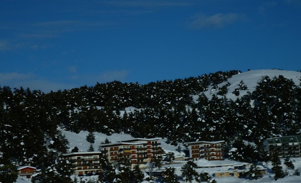 Apartment Face Aux Pistes Gréolières-les-Neiges Exteriör bild