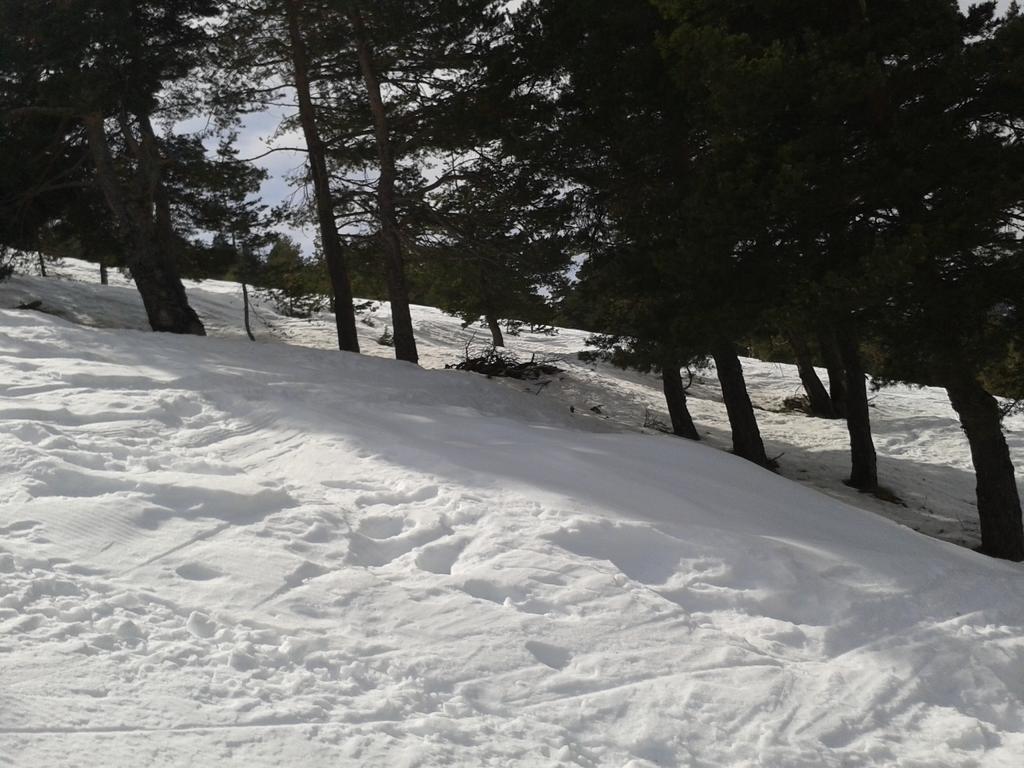 Apartment Face Aux Pistes Gréolières-les-Neiges Exteriör bild