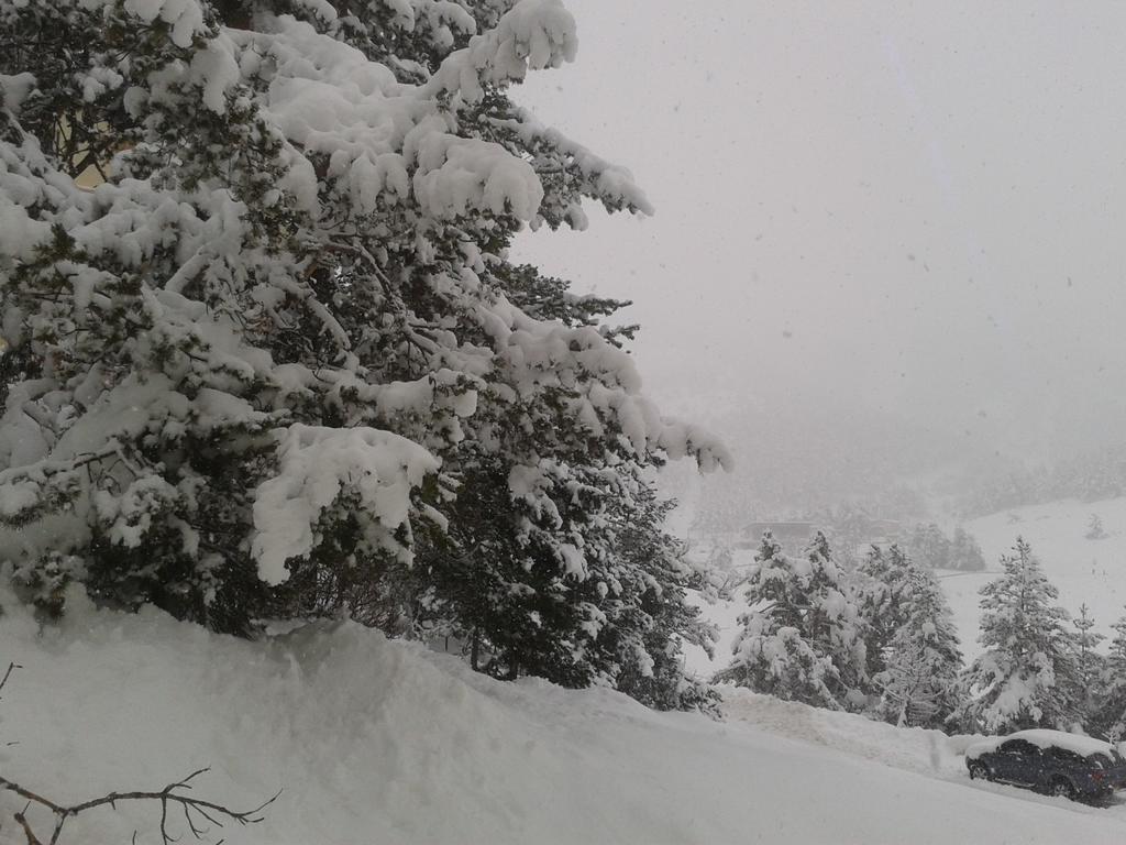 Apartment Face Aux Pistes Gréolières-les-Neiges Exteriör bild