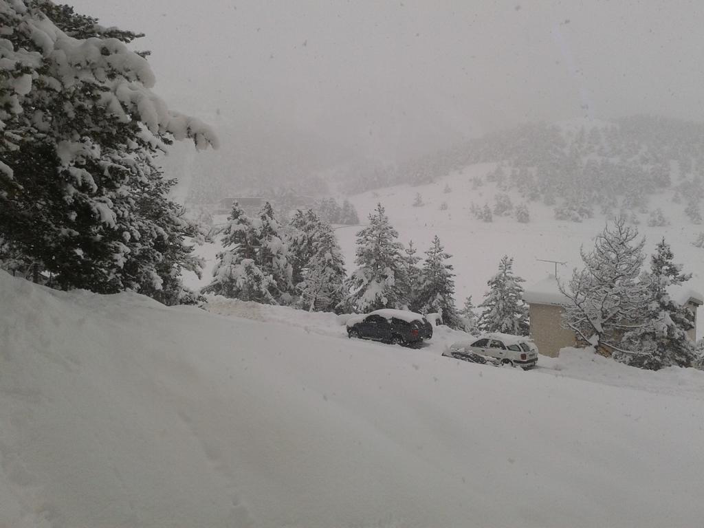Apartment Face Aux Pistes Gréolières-les-Neiges Exteriör bild