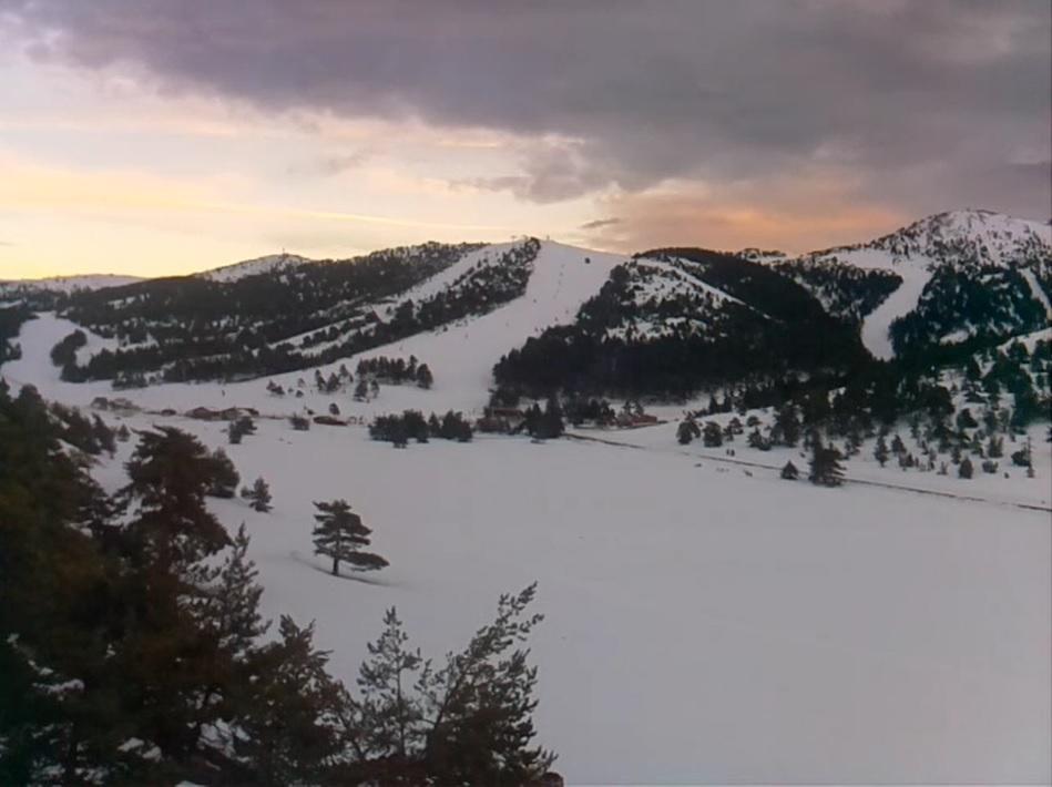 Apartment Face Aux Pistes Gréolières-les-Neiges Exteriör bild